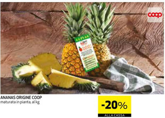 Coop ANANAS ORIGINE COOP offerta