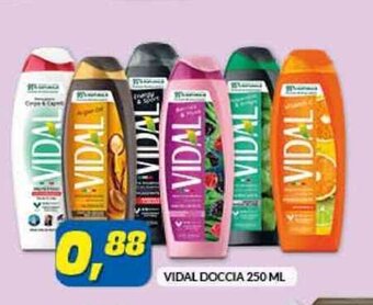 Risparmio Casa VIDAL DOCCIA 250 ML offerta