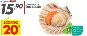 Italmark Capesante Con Guscio offerta