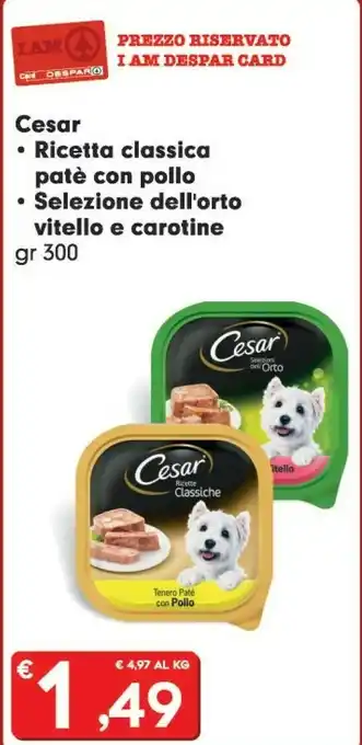 Despar Cesar Ricetta Classica Patè Con Pollo offerta