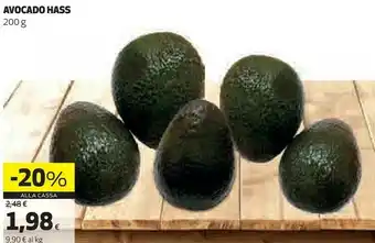 Coop Hass Avocado offerta
