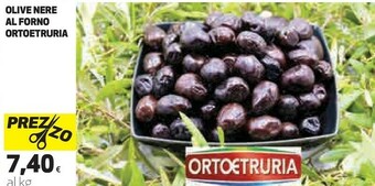 Coop Orto Etruria Olive Nere Al Forno offerta