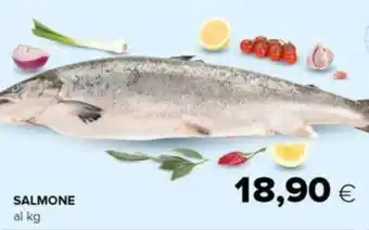 Oasi SALMONE al kg offerta