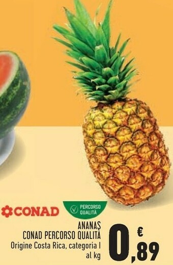 Conad Conad Ananas Percorso Qualita offerta