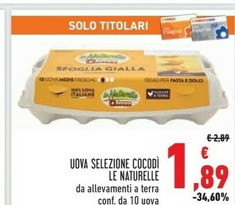 Conad Le Naturelle Uova Selezione Cocodi offerta