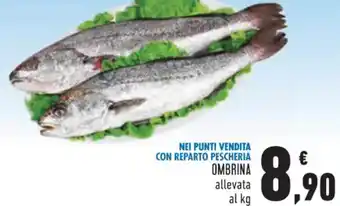 Conad OMBRINA offerta