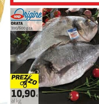 Coop Orata offerta