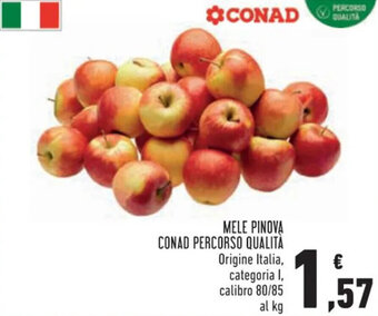Conad MELE PINOVA CONAD PERCORSO QUALITA offerta