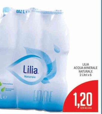 Supermercati Piccolo Lilia Acqua Minerale Naturale 2 litri x 6 offerta