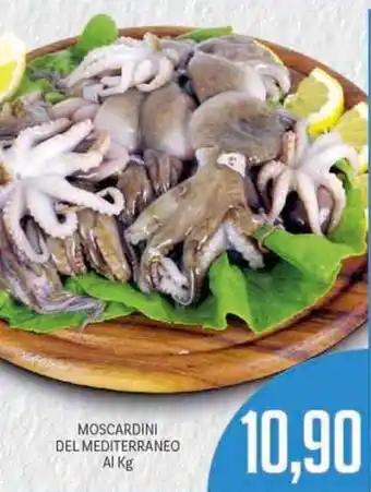 Supermercati Piccolo Moscardini del Mediterraneo Al Kg offerta