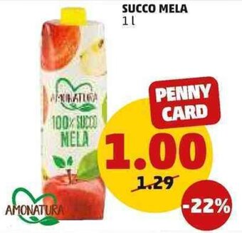 PENNY AMONATURA SUCCO MELA 1 l offerta