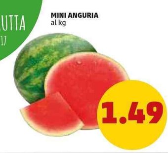 PENNY MINI ANGURIA offerta