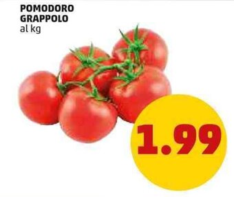 PENNY POMODORO GRAPPOLO offerta