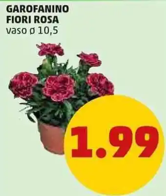 PENNY GAROFANINO FIORI ROSA vaso ø 10,5 offerta