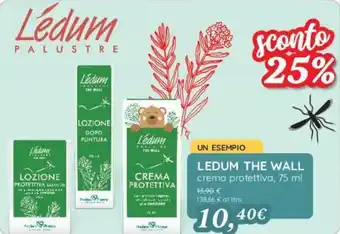 LEDUM THE WALL crema protettiva, 75 ml