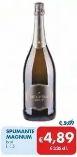 Brut spumante magnum