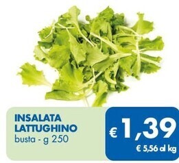 MD Discount Insalata lattughino offerta