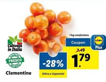 Todis Avocado offerta