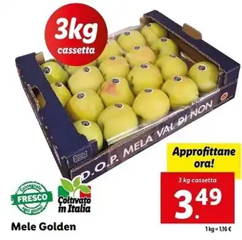 Todis Fragole candonga offerta