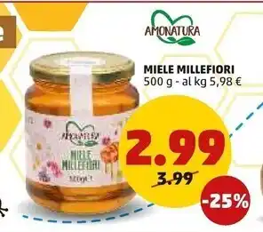 PENNY Amonatura miele millefiori offerta