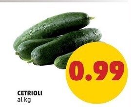 PENNY Cetrioli offerta