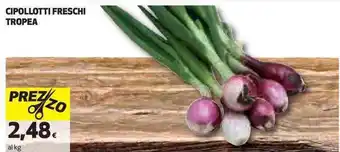 CIPOLLOTTI FRESCHI TROPEA