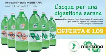 Tocal Acqua Minerale MERISANA vapo It 1 naturale, frizzante offerta
