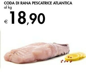 Bennet Coda Di Rana Pescatrice Atlantica offerta