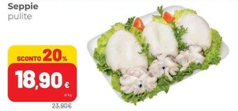 Coop Seppie offerta