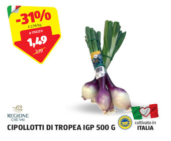 ALDI REGIONE CHE VAI CIPOLLOTTI DI TROPEA IGP 500 G offerta