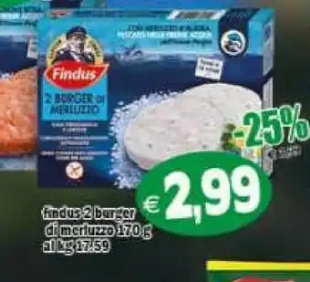 Il Castoro Supermercati Findus 2 Burger Di Merluzzo offerta
