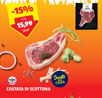 ALDI IL PODERE COSTATA DI SCOTTONA offerta
