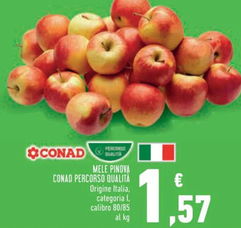 Conad MELE PINOVA CONAD PERCORSO QUALITÀ offerta