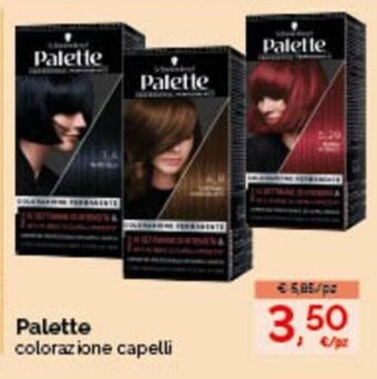 Acqua & Sapone Palette Colorazione Capelli offerta