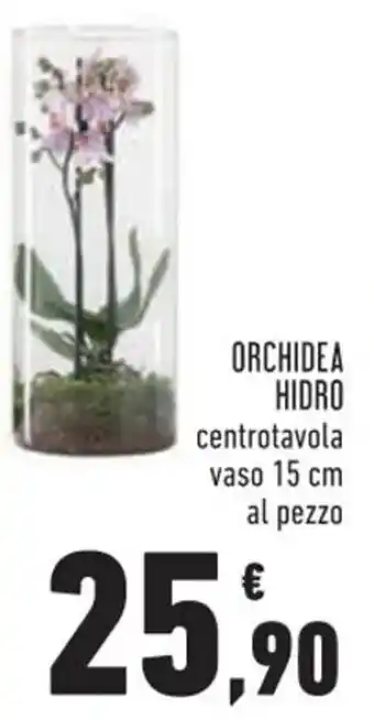 Conad ORCHIDEA HIDRO 15 cm offerta