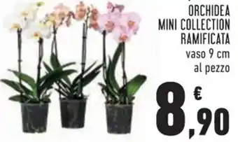 Conad ORCHIDEA PHALAENOPSIS MINI COLLECTION RAMIFICATA vaso 9 9 cm offerta