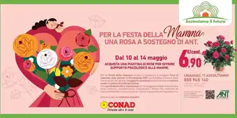 Conad PER LA FESTA DELLA Mamma UNA ROSA A SOSTEGNO DI ANT. offerta