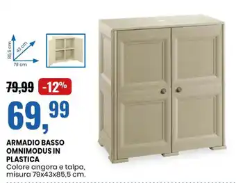 Eurospin ARMADIO BASSO OMNIMODUS IN PLASTICA misura 79x43x85,5 cm. offerta