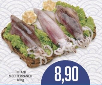 Supermercati Piccolo TOTANI MEDITERRANEO Al Kg offerta