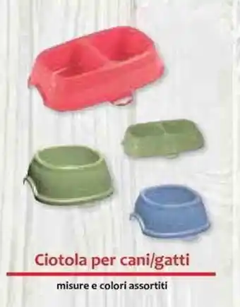 Galassia Ciotola per cani/gatti offerta