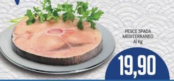 Supermercati Piccolo PESCE SPADA MEDITERRANEO Al Kg offerta