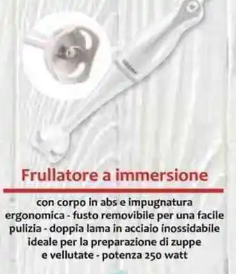 Frullatore a immersione