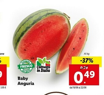 Lidl Baby Anguria offerta