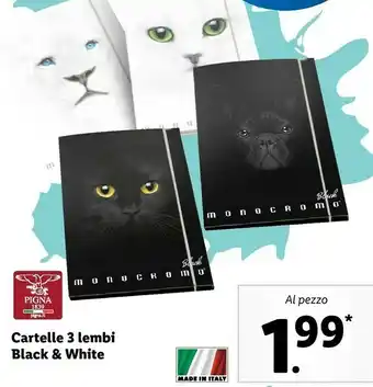 Lidl Pigna Cartelle 3 Lembi Black & White offerta