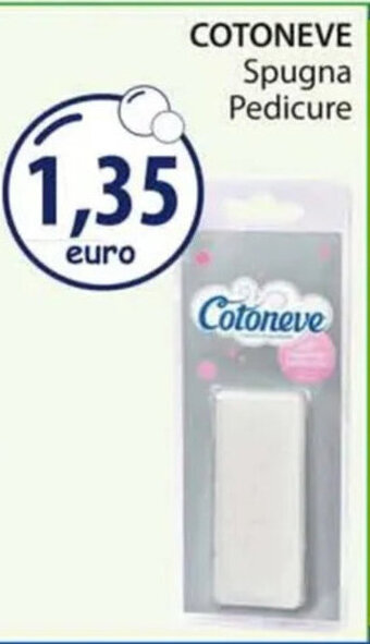 COTONEVE Spugna Pedicure