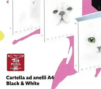 Lidl Pigna Pinga Cartella Ad Anelli A4 Black & White offerta
