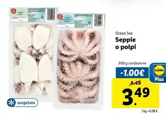 Ocean sea Seppie O Polpi
