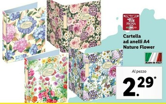 Lidl Pigna Cartella Ad Anelli A4 Nature Flower offerta