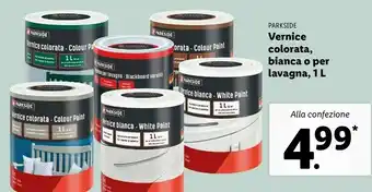 Lidl Parkside Vernice Colorata offerta