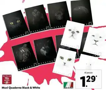 Lidl Pigna Maxi Quadreno Black & White offerta
